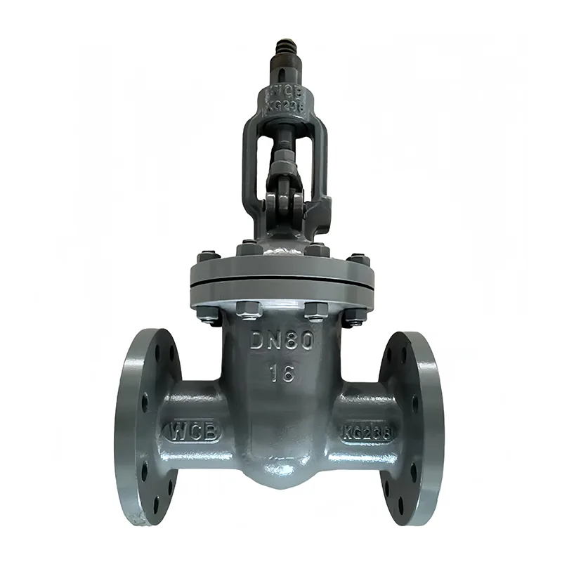 Carbon Steel Flange Rooj vag Valve