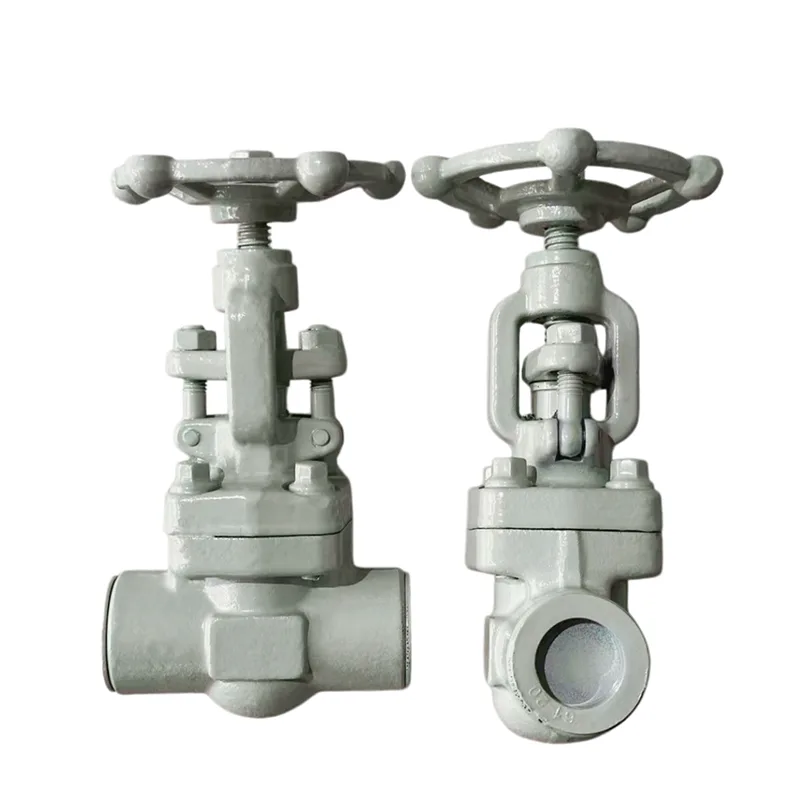 Qhov (socket)-welded Forged Gate Valve
